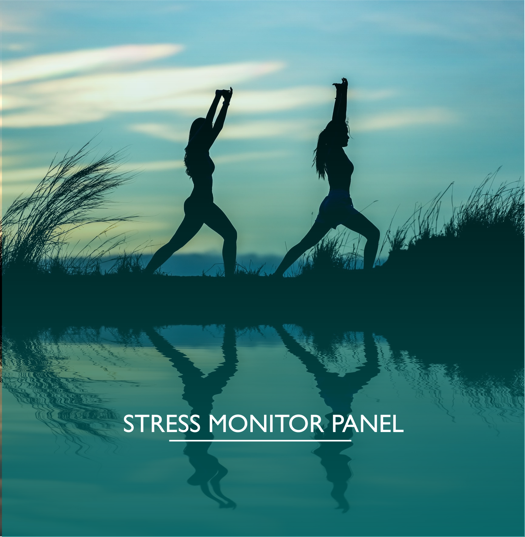 „Stress Monitor Panel“– epigenetische Analyse der Stressregulation