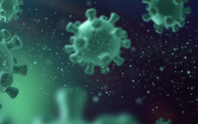 Pflanzenextrakte, miRNAs und die Immunantwort